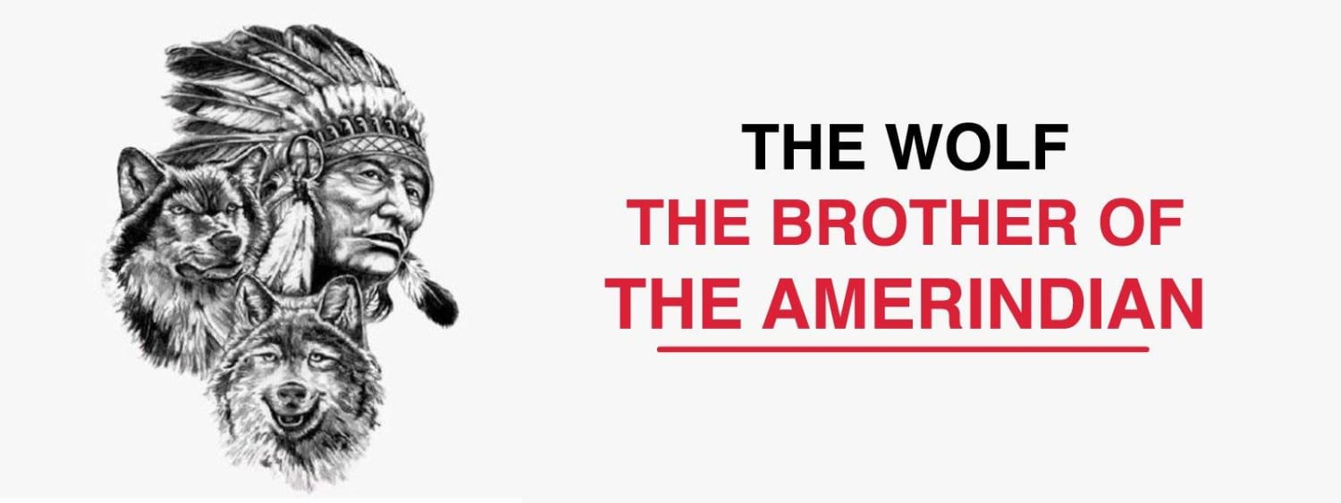 THE WOLF : THE BROTHER OF THE AMERINDIAN