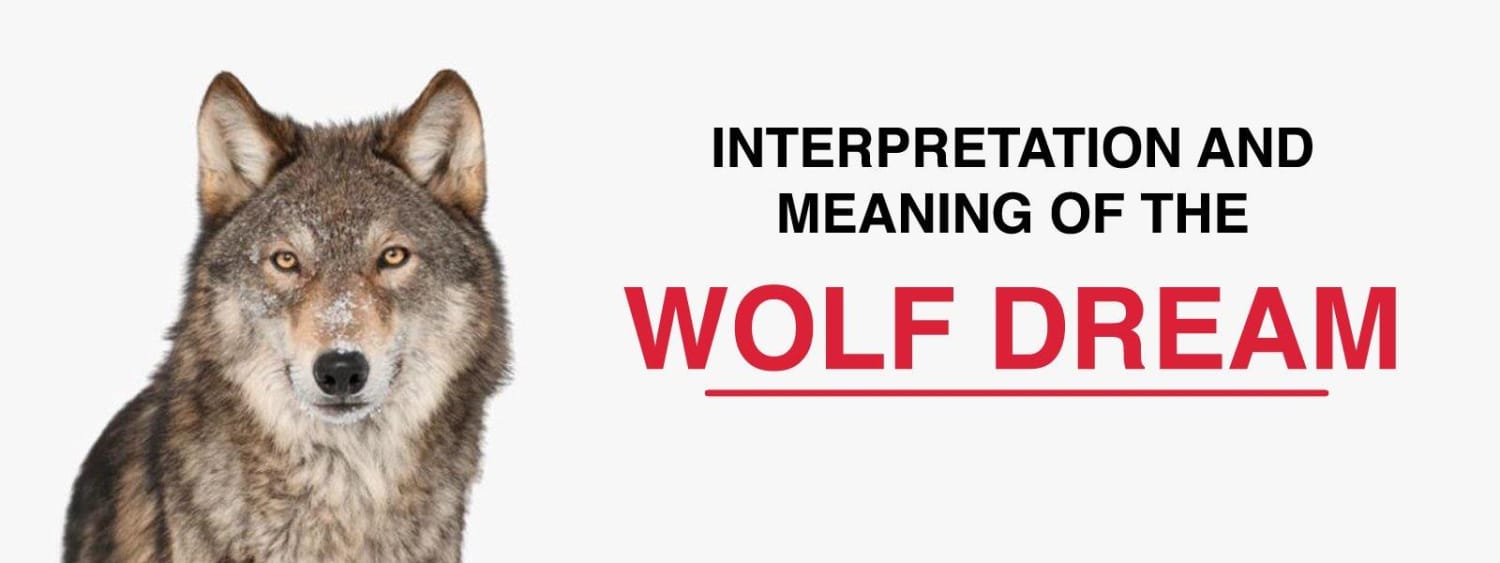 What Does a Wolf Symbolize in A Dream? WolfHorde