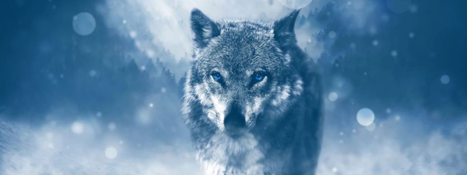 WHAT DOES THE WOLF TOTEM MEAN?