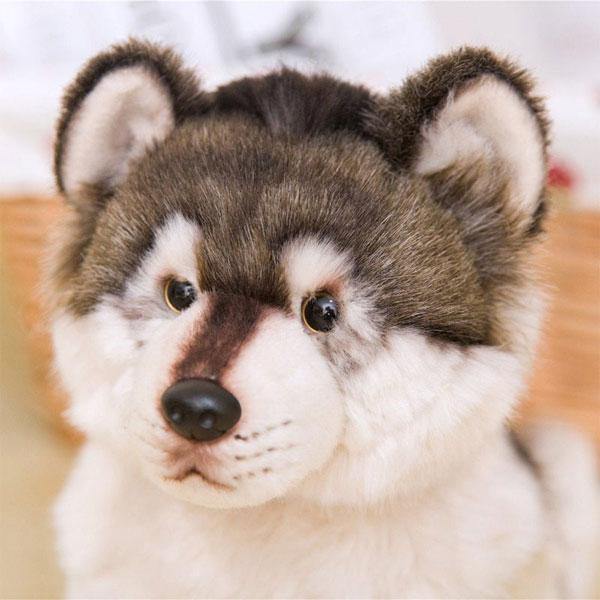 Husky Plush Dog: a small ball of softness | Wolf-Horde-38x21x26-