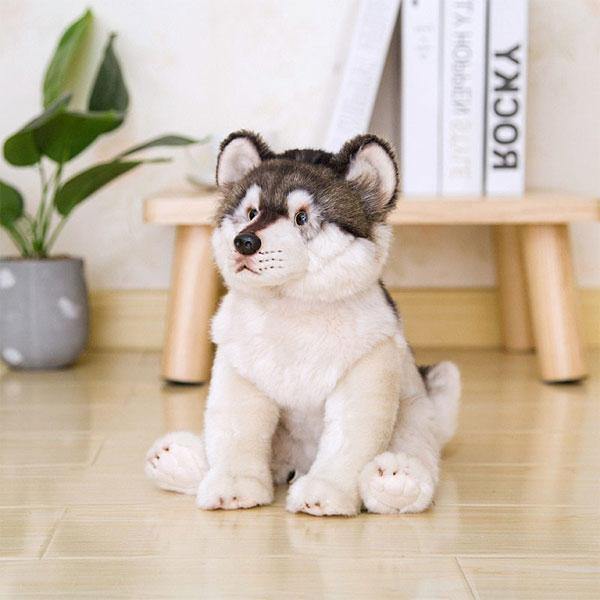 Husky Plush Dog: a small ball of softness | Wolf-Horde-38x21x26-