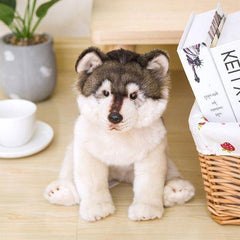 Husky Plush Dog: a small ball of softness | Wolf-Horde-38x21x26-