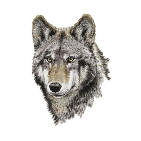 Realistic Wolf Face Tattoo | Wolf-Horde-