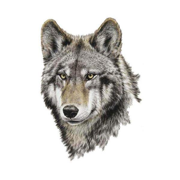 Realistic Wolf Face Tattoo WolfHorde